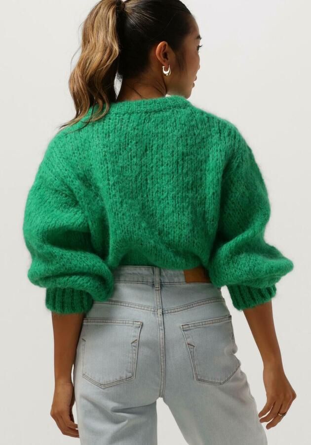 AMERICAN DREAMS Dames Truien & Vesten Leonnie Alpaca Pullover Groen