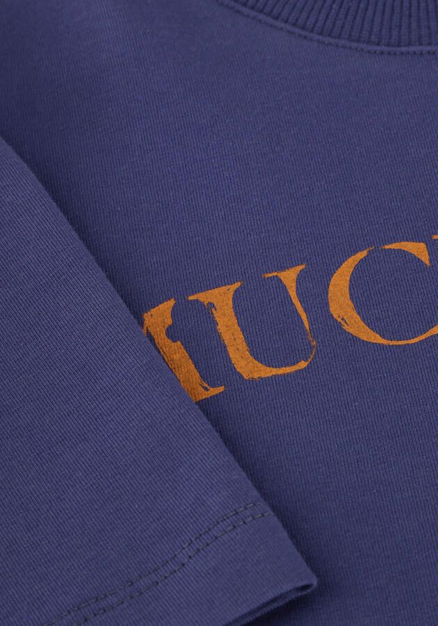 AMMEHOELA Jongens Polo's & T-shirts Kit Paars