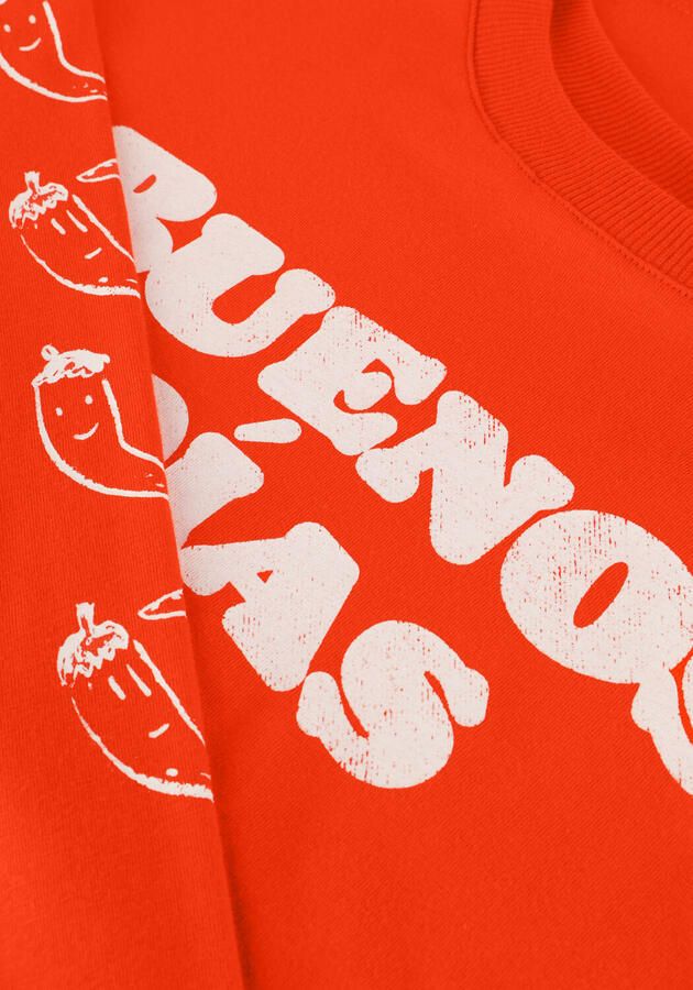 AMMEHOELA Jongens Polo's & T-shirts Rey Oranje - Foto 1