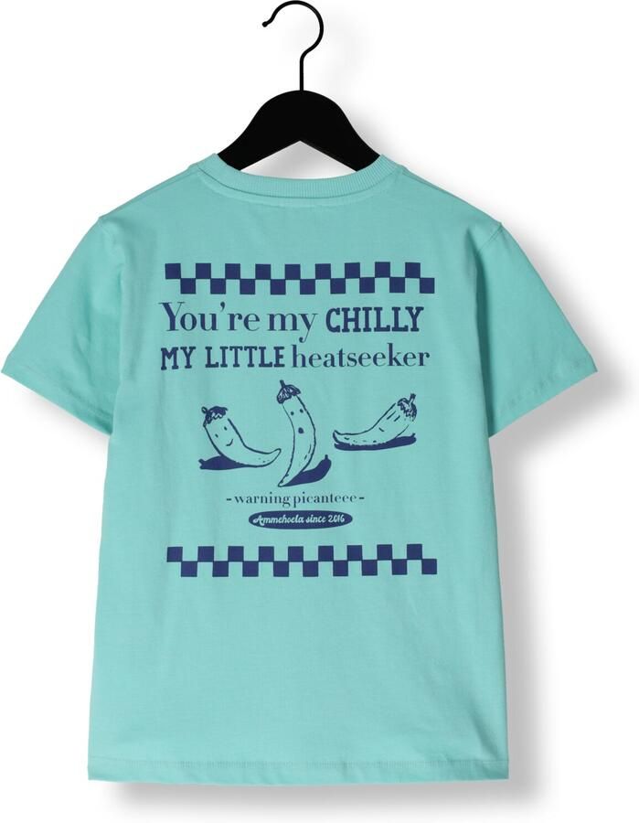 AMMEHOELA Jongens Polo's & T-shirts Zoe Blauw