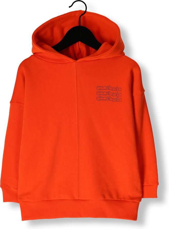 AMMEHOELA Jongens Truien & Vesten Ernest Oranje - Foto 3