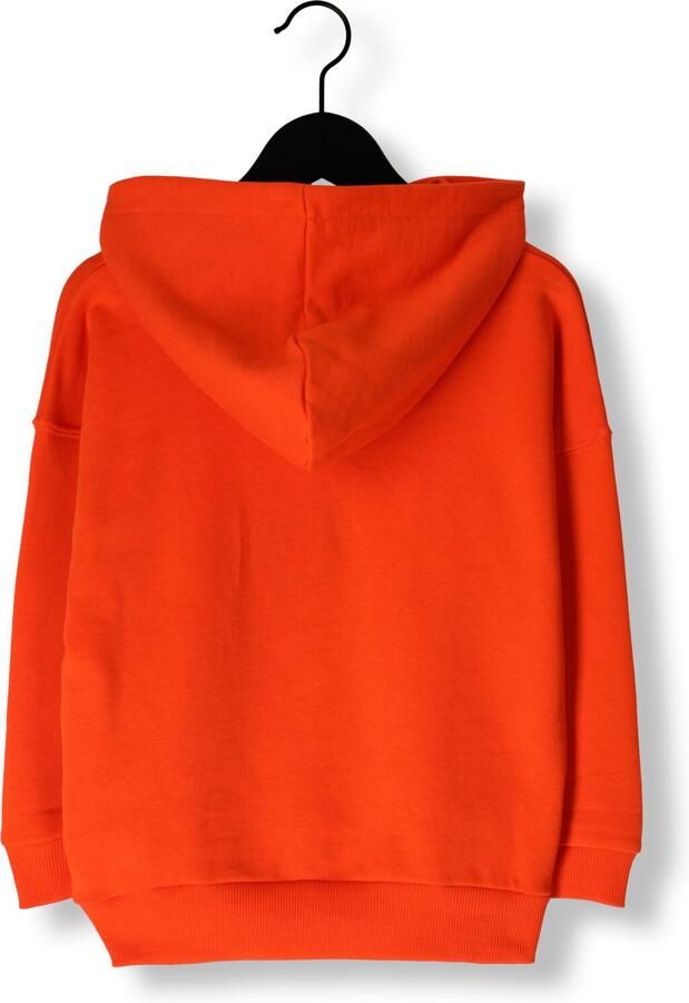 AMMEHOELA Jongens Truien & Vesten Ernest Oranje - Foto 2