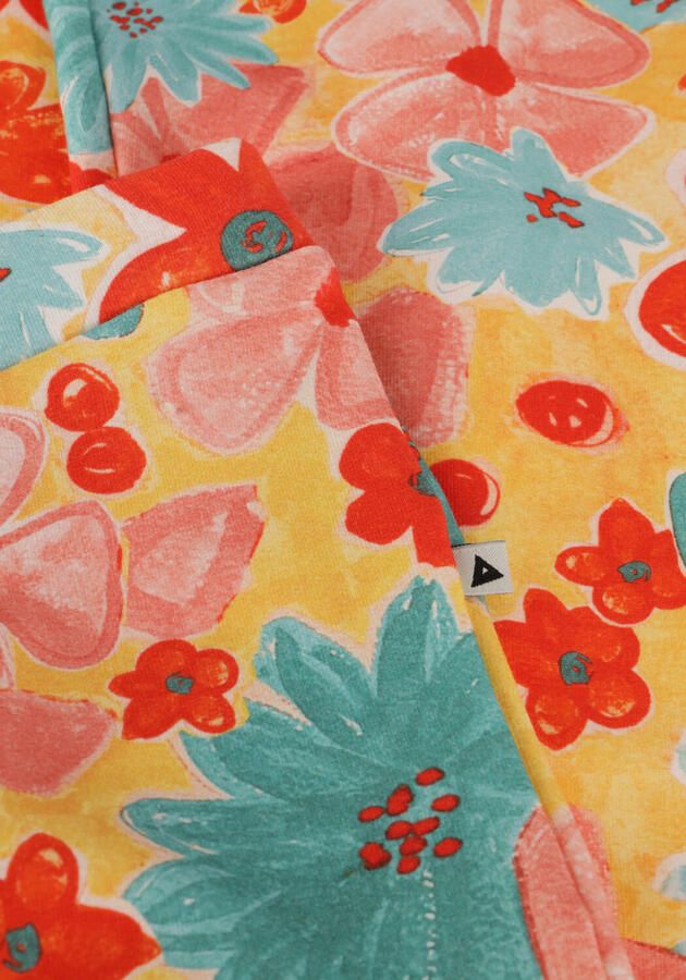 AMMEHOELA Meisjes Broeken Liv Multi