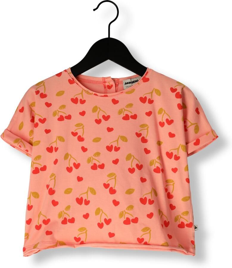 AMMEHOELA Meisjes Tops & T-shirts Hippie Roze - Foto 4