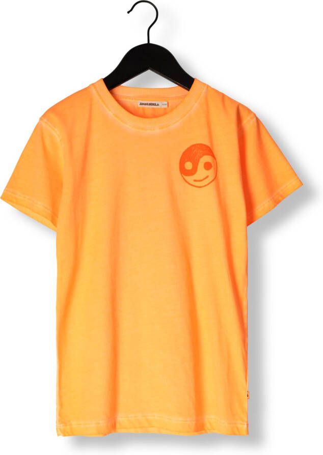 AMMEHOELA Jongens Polo's & T-shirts Am.zoe.54 Oranje