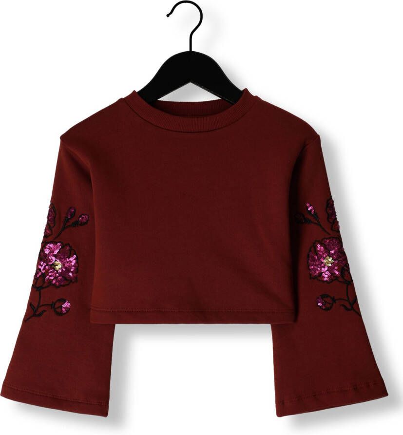 Ammehoela Rode Sweater Am.mae.01