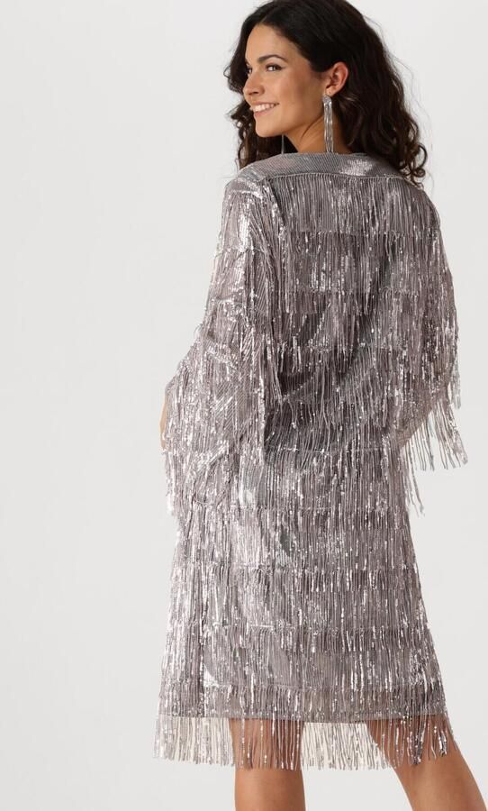 ANA ALCAZAR Dames Jurken Pure Sequins Dress Zilver - Foto 3