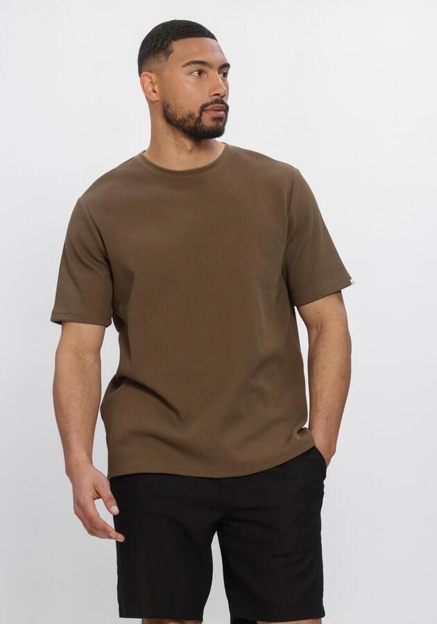 ANERKJENDT Heren Polo's & T-shirts Akkiki S s Waffle Tee Bruin