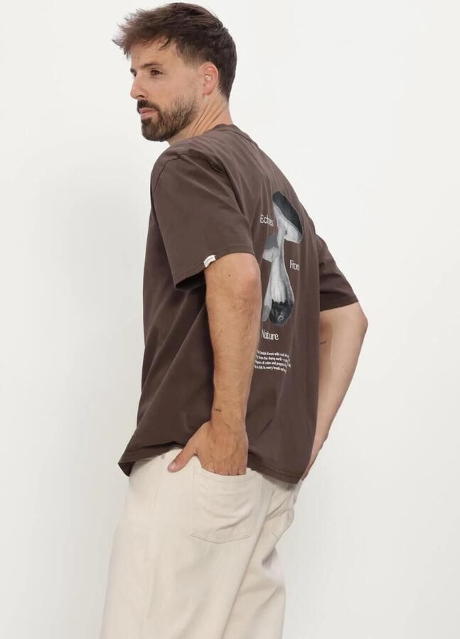 ANERKJENDT Heren Polo's & T-shirts Akvillads Echos Ss Tee Bruin