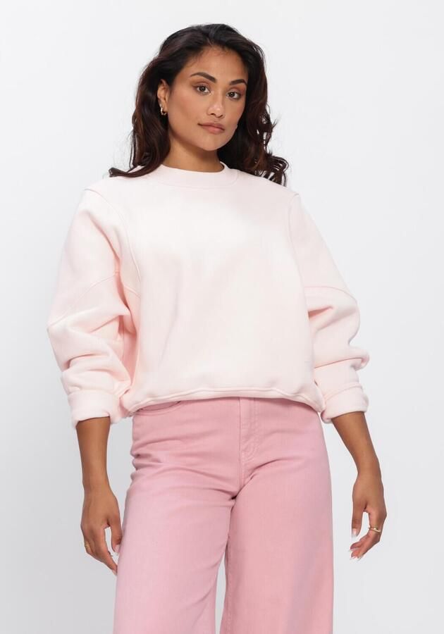 ANOTHER LABEL Dames Truien & Vesten Aldeline Sweat L s Lichtroze