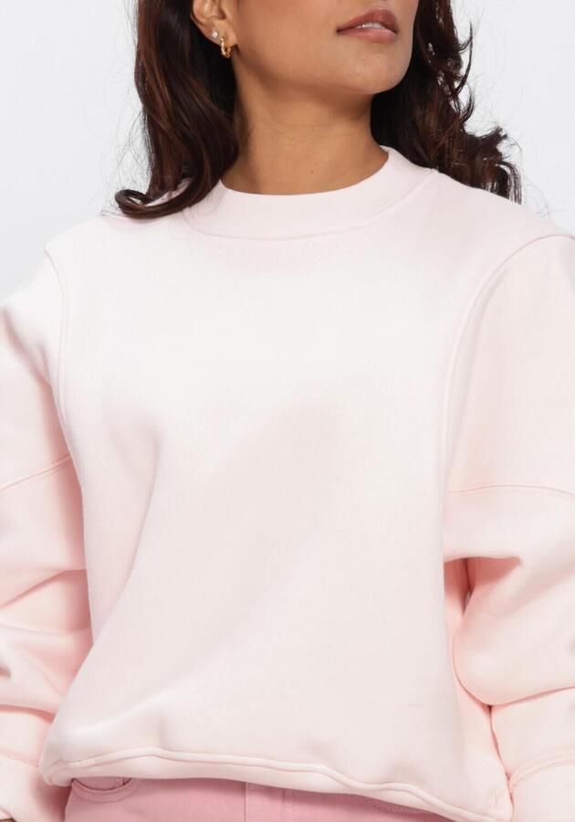 ANOTHER LABEL Dames Truien & Vesten Aldeline Sweat L s Lichtroze - Foto 4