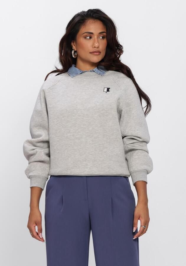 ANOTHER LABEL Dames Truien & Vesten Alniya Sailor Sweat L s Grijs
