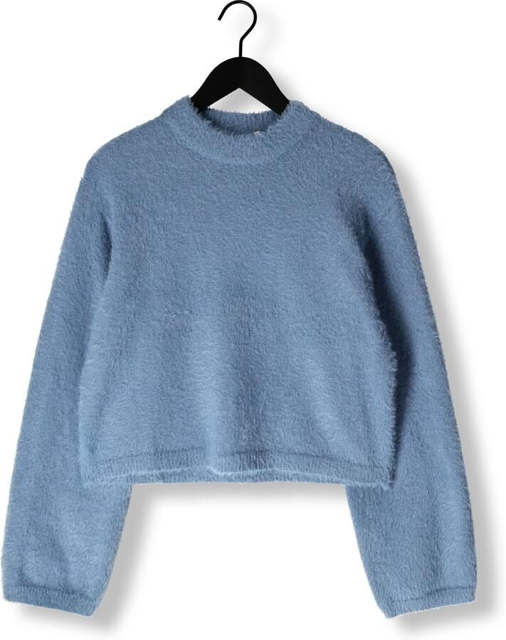 ANOTHER LABEL Dames Truien & Vesten Amaya Knitted Pull L s Lichtblauw