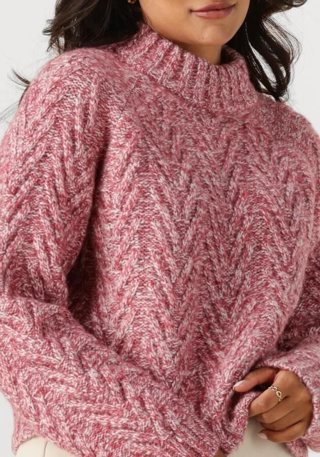 ANOTHER LABEL Dames Truien & Vesten Becka Knitted Pull L s Roze - Foto 2