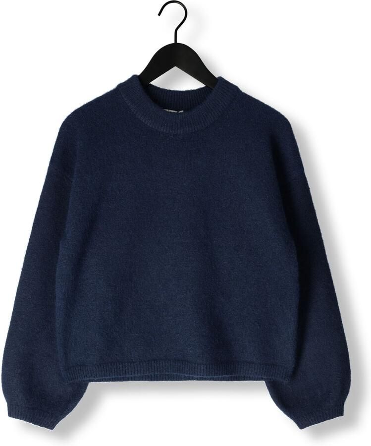 ANOTHER LABEL Dames Truien & Vesten Dylou Knitted Pull L s Donkerblauw