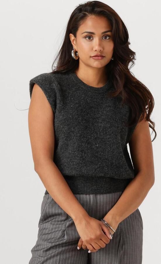 ANOTHER LABEL Dames Truien & Vesten Indra Knitted Pull L s Donkergrijs - Foto 4