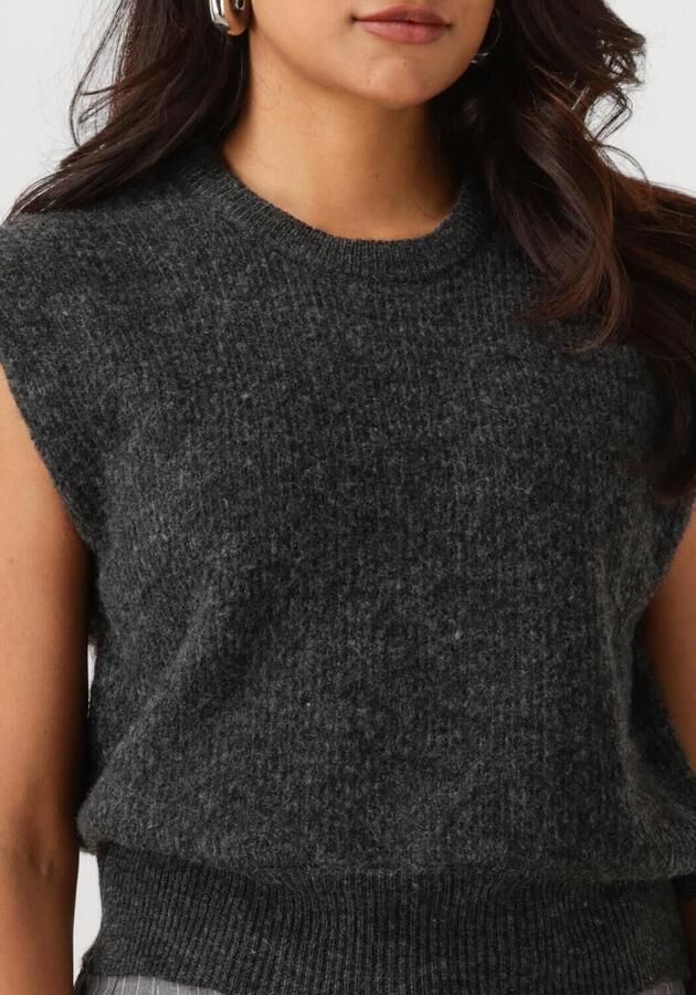ANOTHER LABEL Dames Truien & Vesten Indra Knitted Pull L s Donkergrijs - Foto 2
