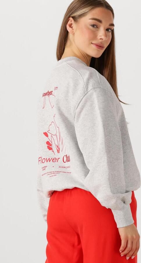 ANOTHER LABEL Dames Truien & Vesten Jaxy Flower Sweat Lichtgrijs - Foto 3