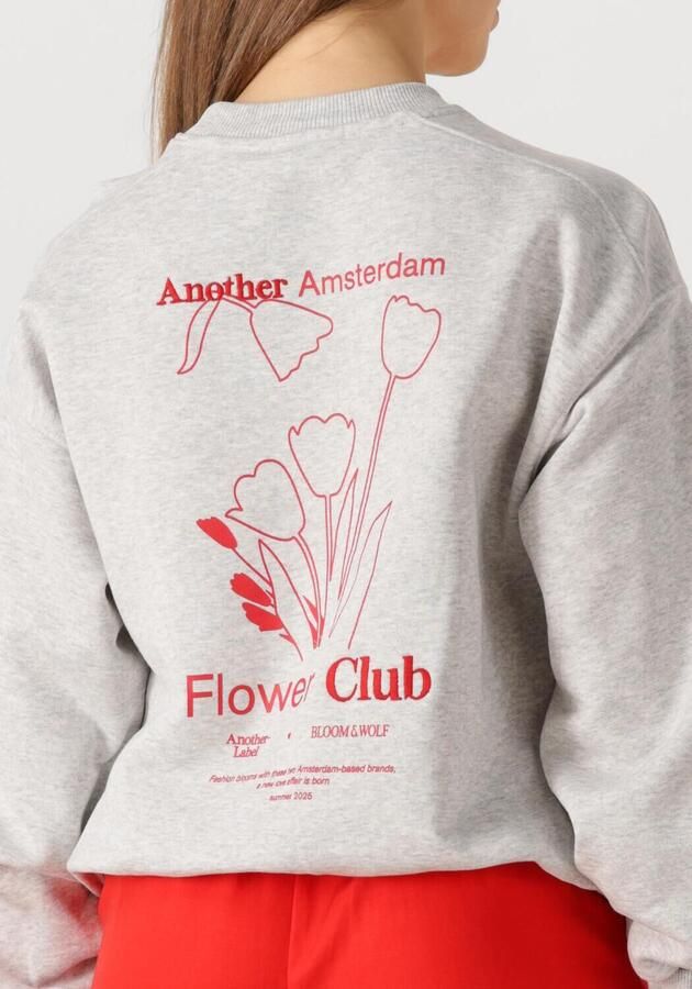ANOTHER LABEL Dames Truien & Vesten Jaxy Flower Sweat Lichtgrijs - Foto 2