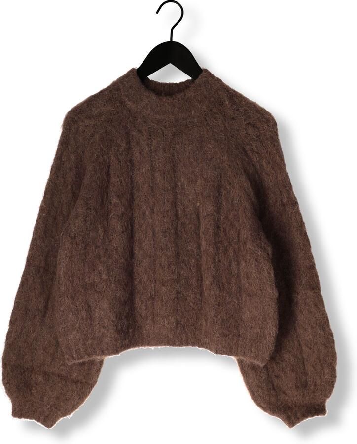 ANOTHER LABEL Dames Truien & Vesten Perla Knitted Pull Bruin