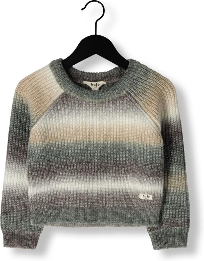 BAJE STUDIO Jongens Truien & Vesten Bern Grijs - Foto 3