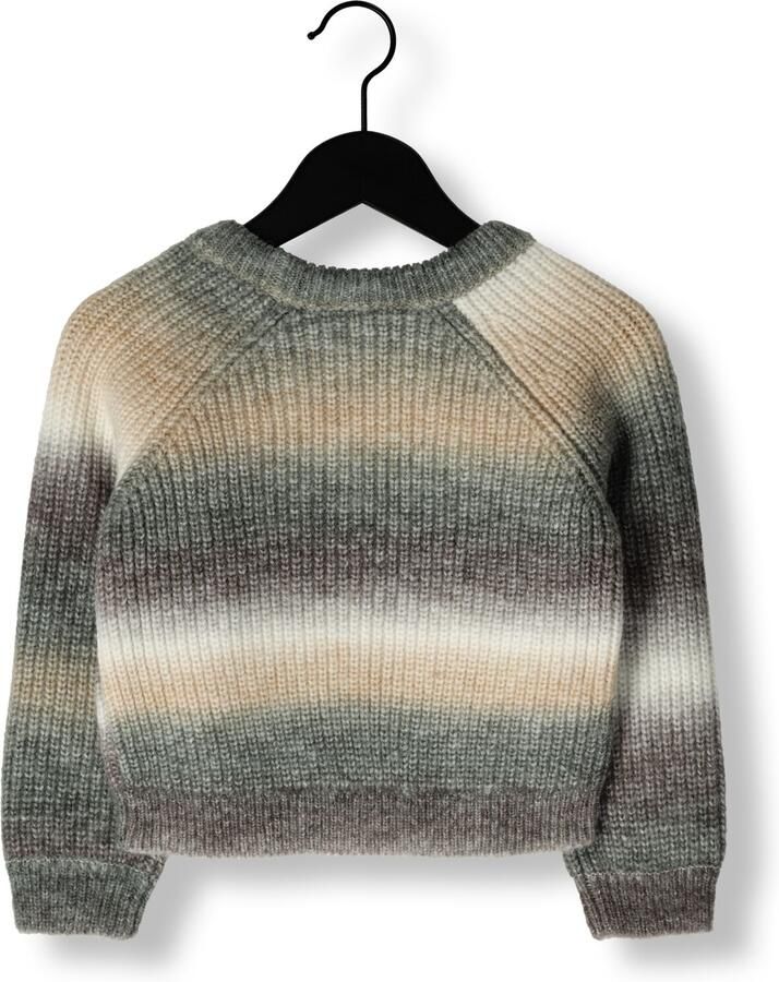 BAJE STUDIO Jongens Truien & Vesten Bern Grijs