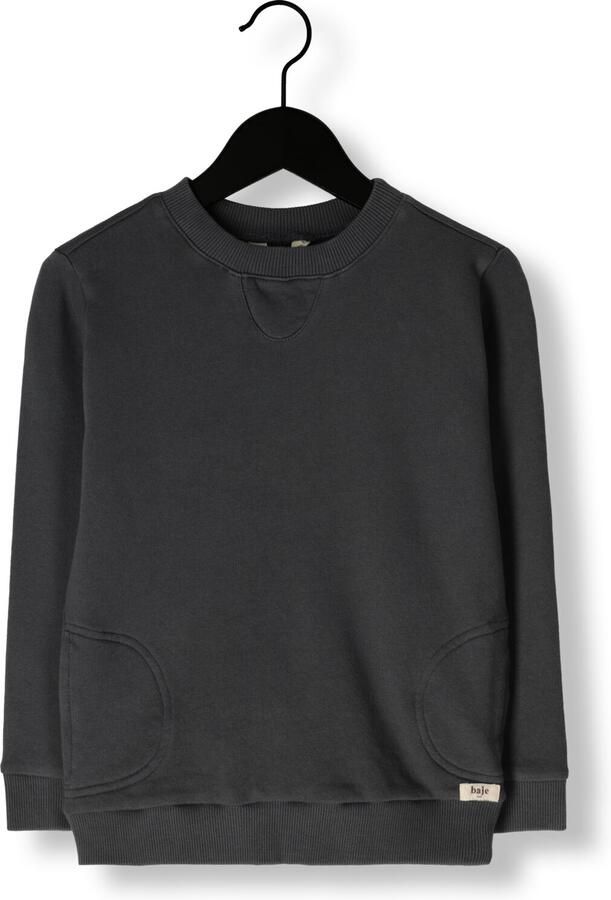 BAJE STUDIO Jongens Truien & Vesten Etoy Donkergrijs - Foto 2