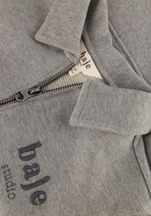 BAJE STUDIO Jongens Truien & Vesten Morlon Grijs