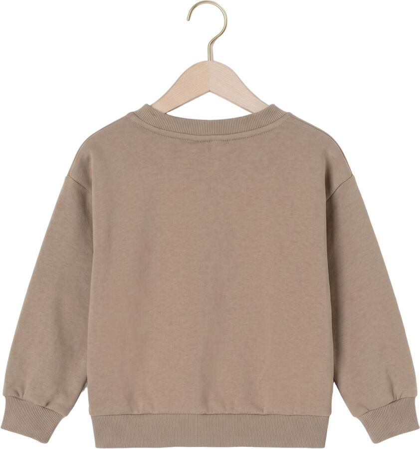 BAJE STUDIO Jongens Truien & Vesten Vendi Taupe - Foto 2