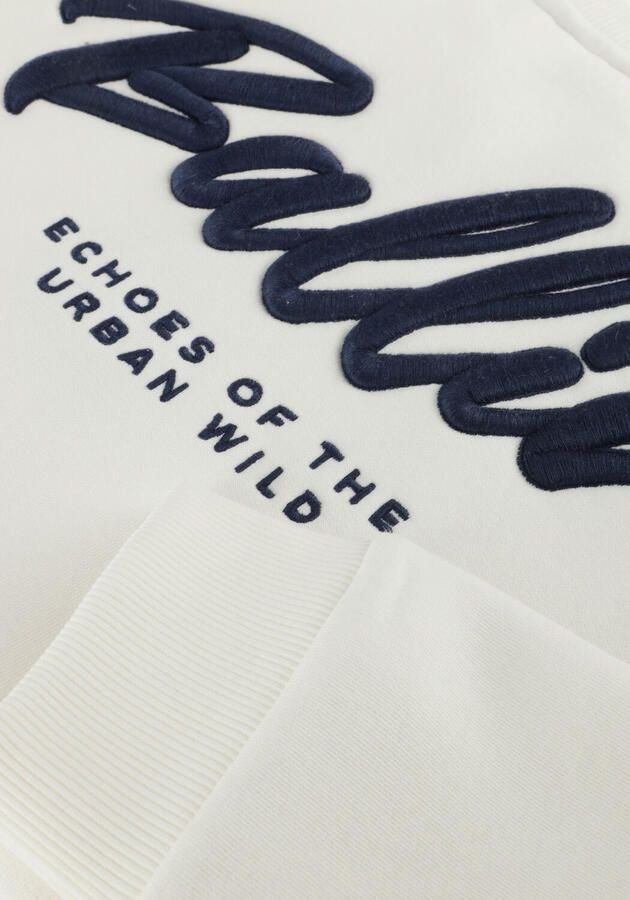 BALLIN Jongens Truien & Vesten 037317 Ecru - Foto 2