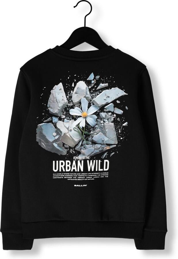 BALLIN Jongens Truien & Vesten 037325 Zwart