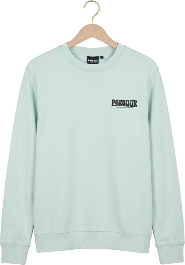 BARBOUR Heren Truien & Vesten Livingstone Crew Neck Mint - Foto 4