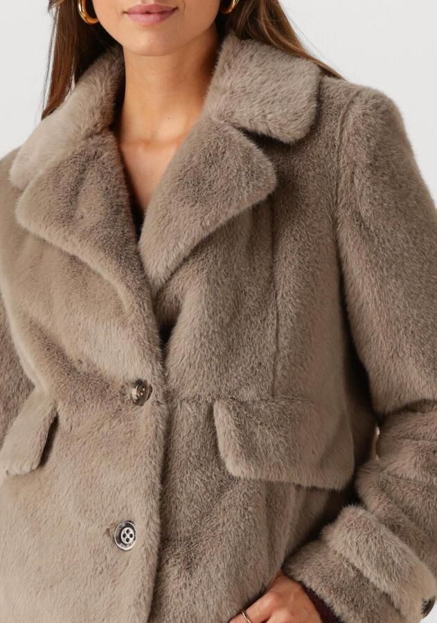 BEAUMONT Dames Jassen Abby Short Coat Taupe - Foto 2