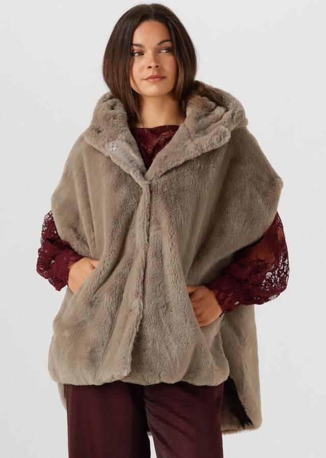 BEAUMONT Dames Jassen Kori Bodywarmer Taupe - Foto 4