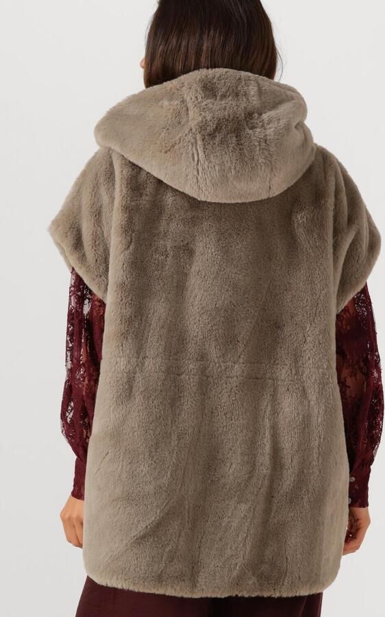 BEAUMONT Dames Jassen Kori Bodywarmer Taupe - Foto 3