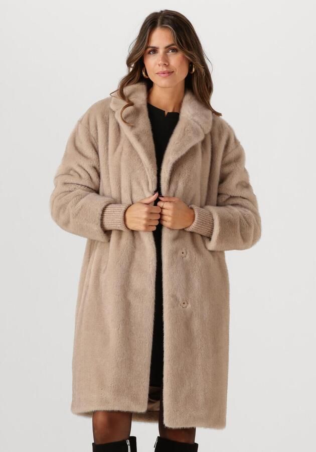 BEAUMONT Dames Jassen Nilla Coat Beige - Foto 4