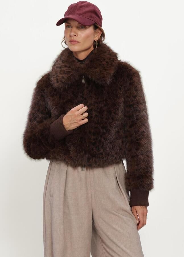 BEAUMONT Dames Jassen Nuala Jacket Bruin
