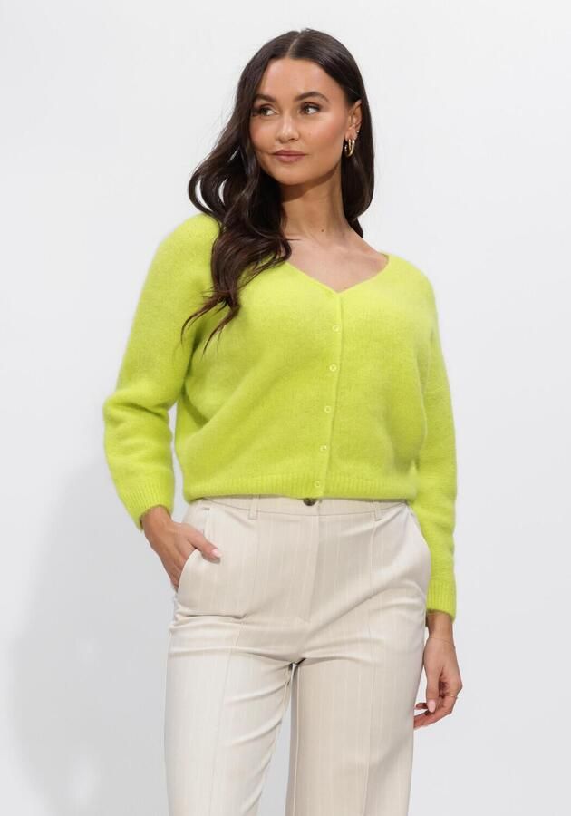 BEAUMONT Dames Truien & Vesten Penny Cardigan Lime