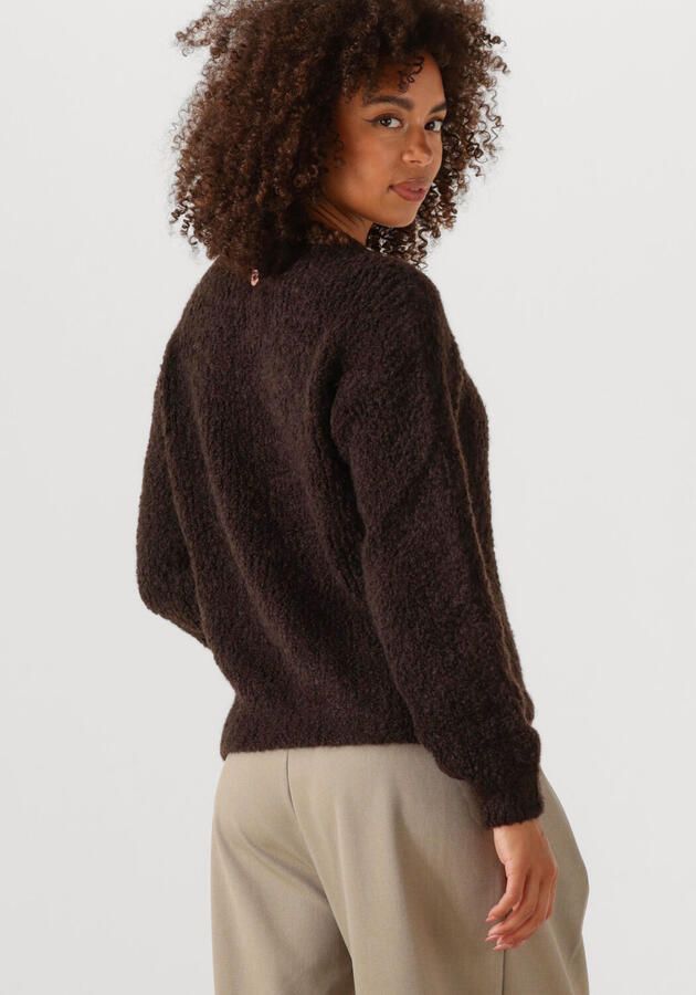 BELLAMY Dames Truien & Vesten Ariadne Bruin