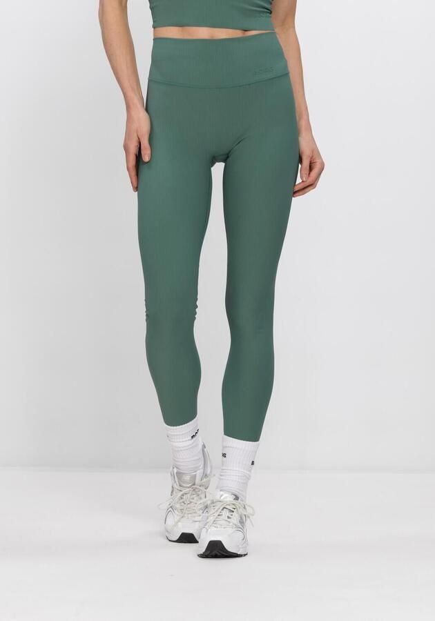 BJORN BORG Dames Broeken Studio Ribbed Tights Groen