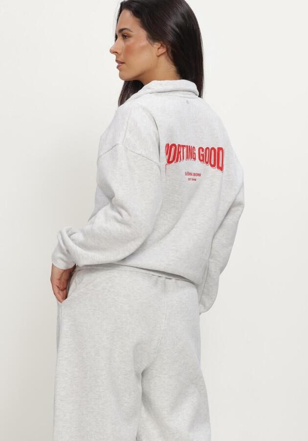 BJORN BORG Dames Truien & Vesten Borg Halfzip Sweatshirt Lichtgrijs - Foto 3