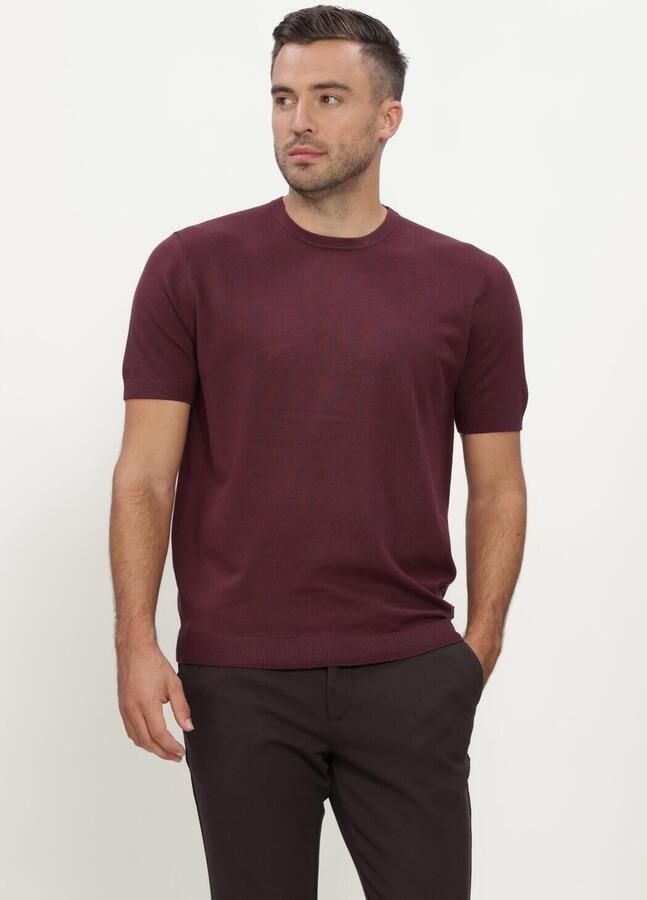 BLUE INDUSTRY Heren Polo's & T-shirts Bordeaux