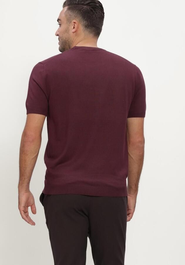 BLUE INDUSTRY Heren Polo's & T-shirts Bordeaux - Foto 2