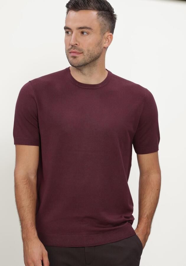 BLUE INDUSTRY Heren Polo's & T-shirts Bordeaux - Foto 3