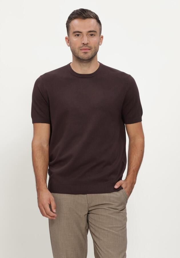 BLUE INDUSTRY Heren Polo's & T-shirts Bruin