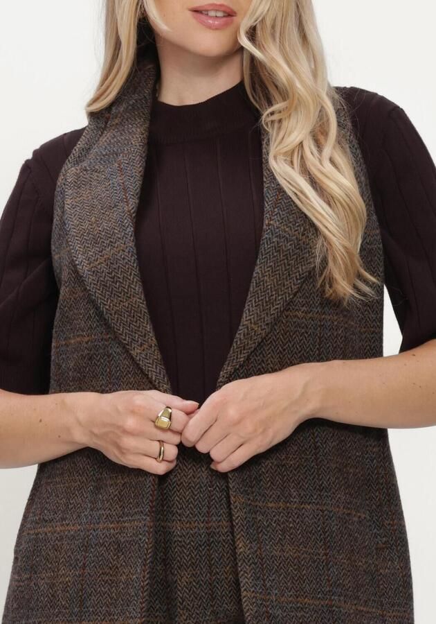 BRUUNS BAZAAR Dames Blazers Aroniabbliann Waistcoat Bruin - Foto 2