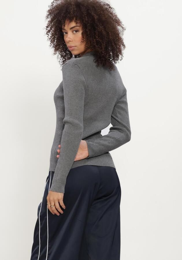 BRUUNS BAZAAR Dames Truien & Vesten Anemonebbvalea Knit Polo Grijs