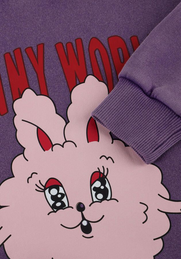 CALL ME FRANKIE Meisjes Truien & Vesten Bunny World Sweater Paars