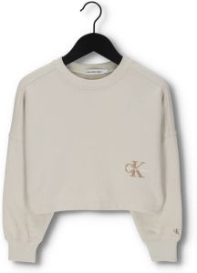 Calvin Klein Beige Sweater Monogram Off Placed Sweatshirt