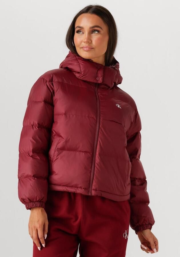 Calvin Klein Jeans Regular fit gewatteerd jack met logoprint model 'Midweight' - Foto 4